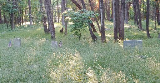 Photograph of a cemetery in the woods, the gravestones barely visible among the tall grass and underbrush. 